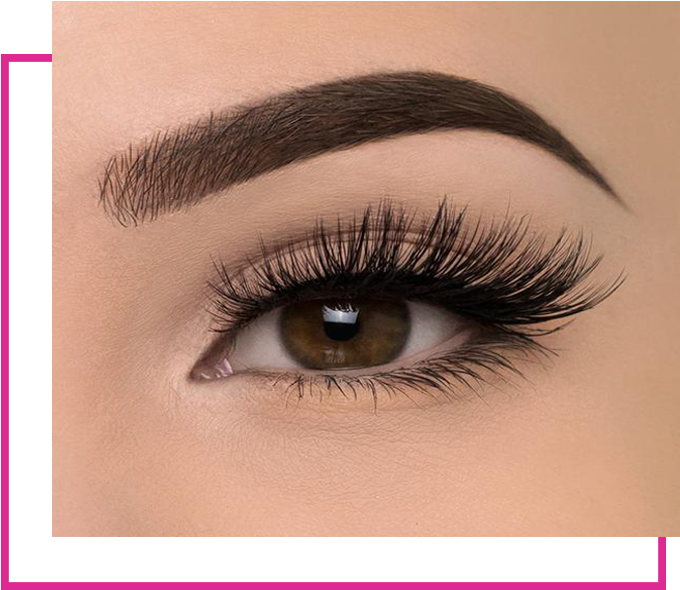 Book Appointment - Fake Lashes (800x600), Png Download