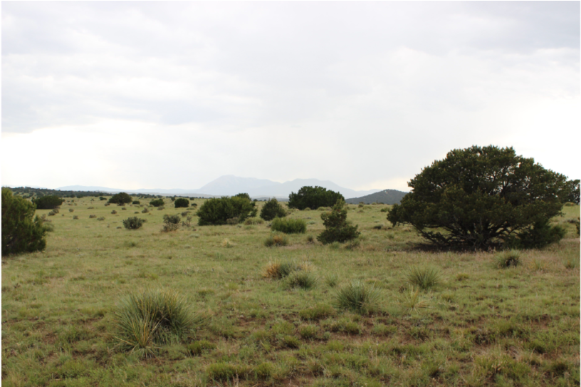 Graneros Canyon - Savanna (1000x542), Png Download
