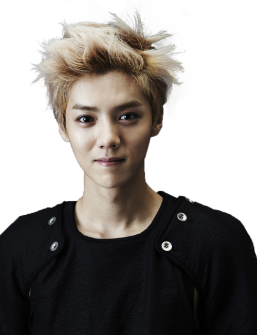 Exo, Luhan, And Kpop Image - Selena Gomez And Exo (500x652), Png Download