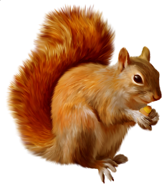 534 X 600 5 - Animals Images Hd Png (534x600), Png Download