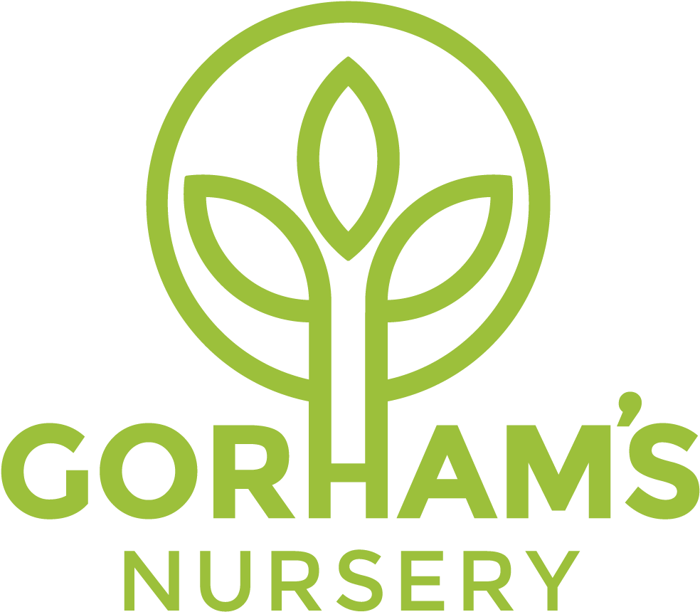 Download Top Of The Rock Full Size PNG Image PNGkit