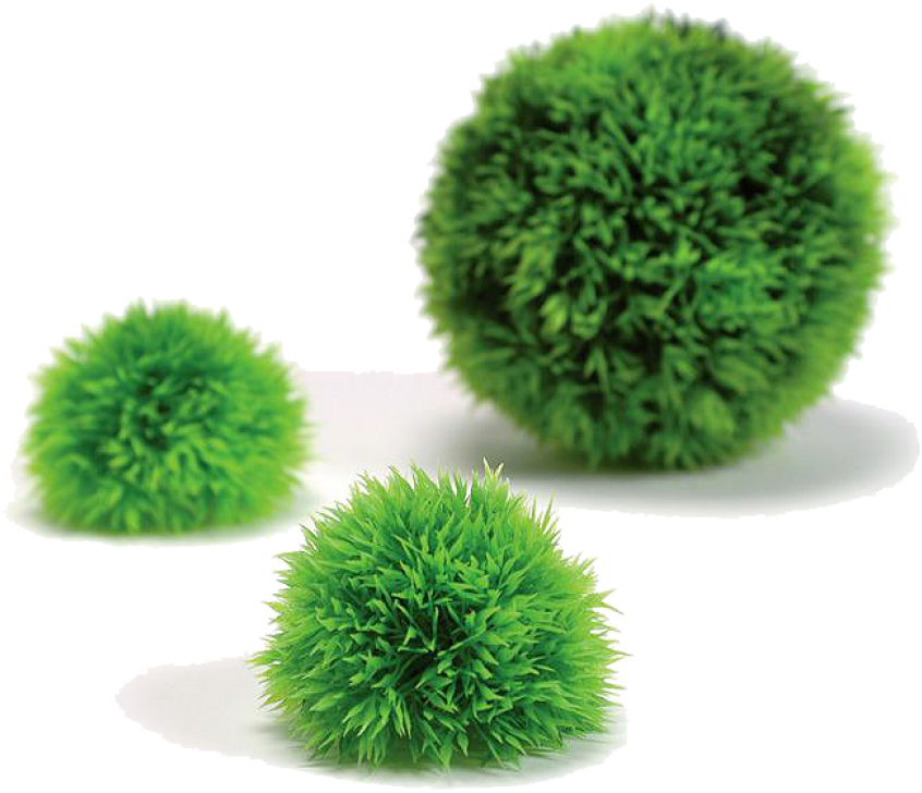 Biorb Decorations (910x1155), Png Download