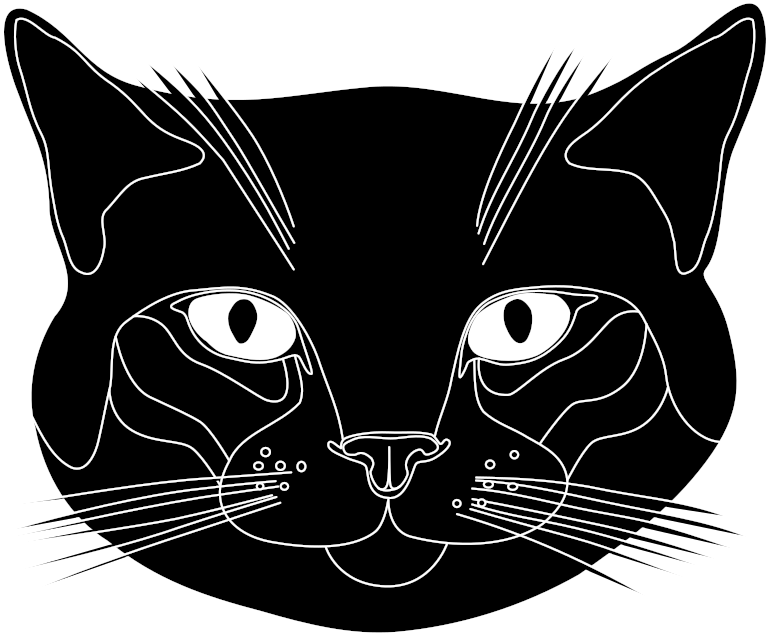 Medium Image - Cat (800x800), Png Download