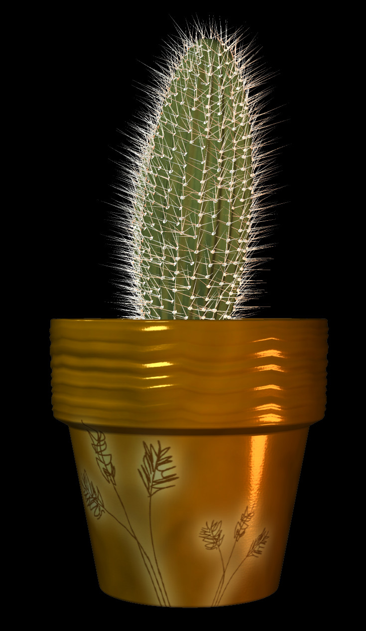 All Our Pngs Are Free To Download And Use - Large-flowered Cactus (735x1266), Png Download