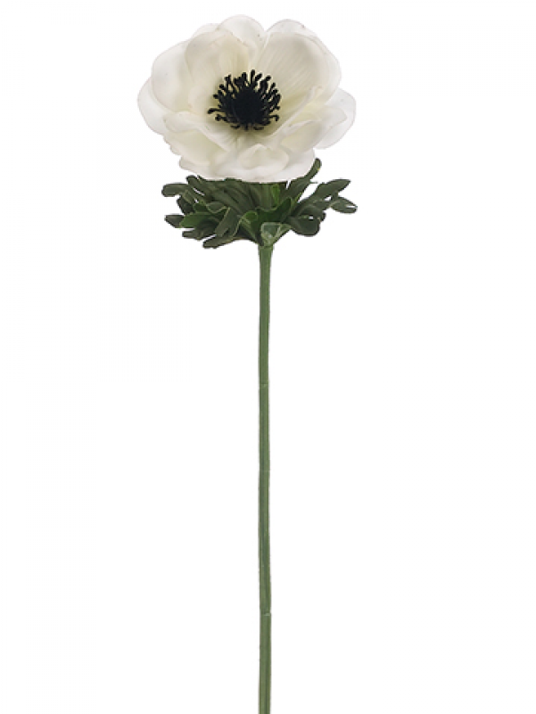 14" Real Touch Anemone Spray White - White Anemone Flower Png (800x800), Png Download