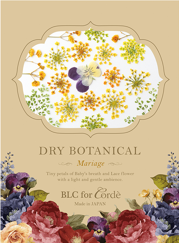 Garden Roses (800x800), Png Download