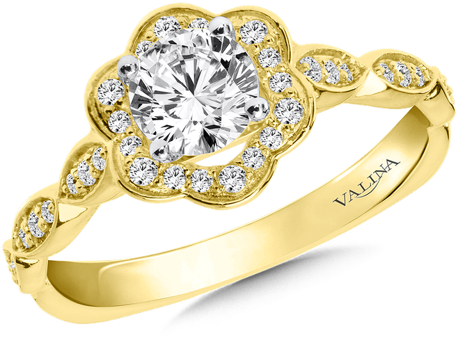 Valina Halo Engagement Ring Mounting In 14k Yellow - Pre-engagement Ring (800x800), Png Download