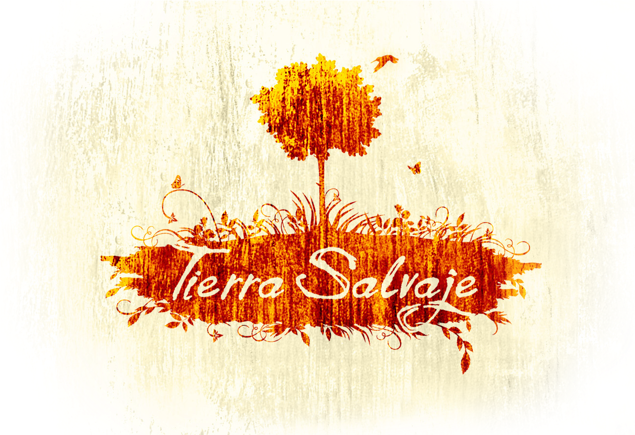 Tierra Salvje - Calligraphy (1524x890), Png Download