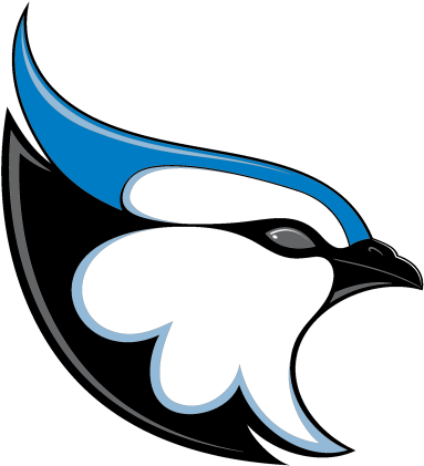 Bank Athletic Knit Ak Blue (800x800), Png Download