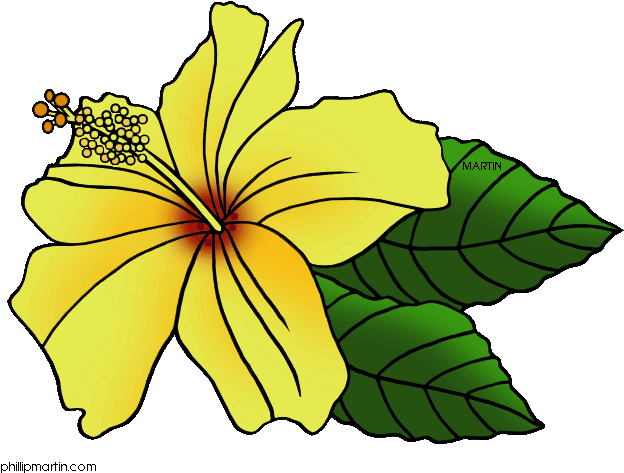 Yellow Flower Png Banner Hawaii - Hawaii State Flower Clip Art (648x490), Png Download