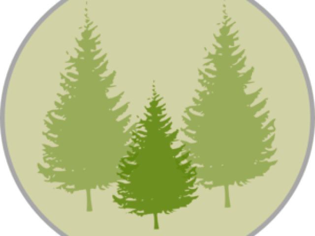 Pine Tree Clipart Png Black And White (640x480), Png Download