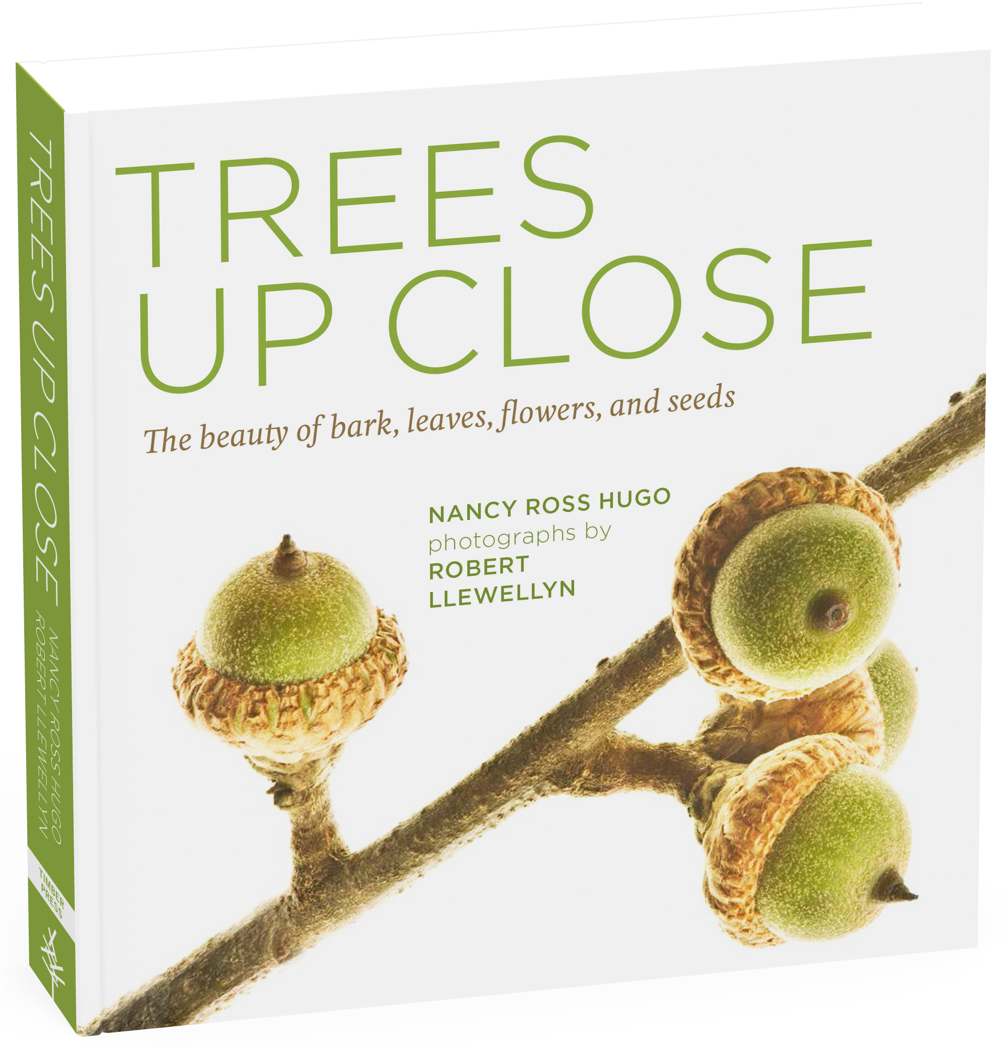 Nancy Ross Hugo (1995x2112), Png Download