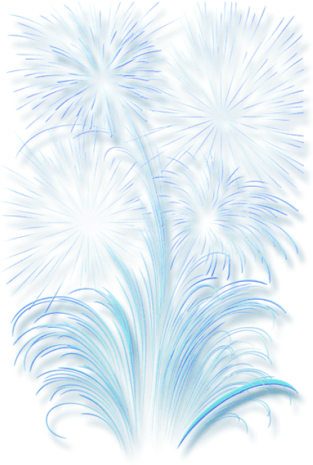 Free Png Download Transparent Fireworks Effect Clipart - Transparent Background Fireworks Effect (481x710), Png Download