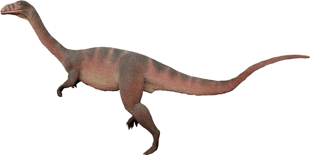 Trackmaker Of The Evazoum Footprint - Moabgiants Com Dinosaurs Png (1040x510), Png Download