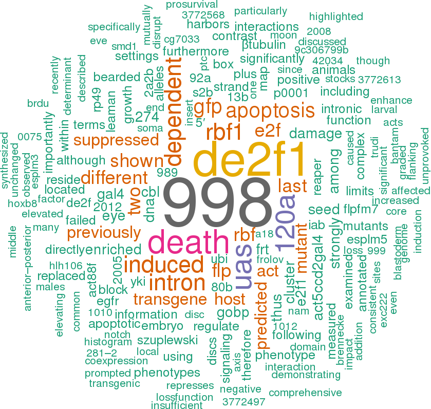 Stem Loop Sequence Dme Mir - Circle (839x796), Png Download