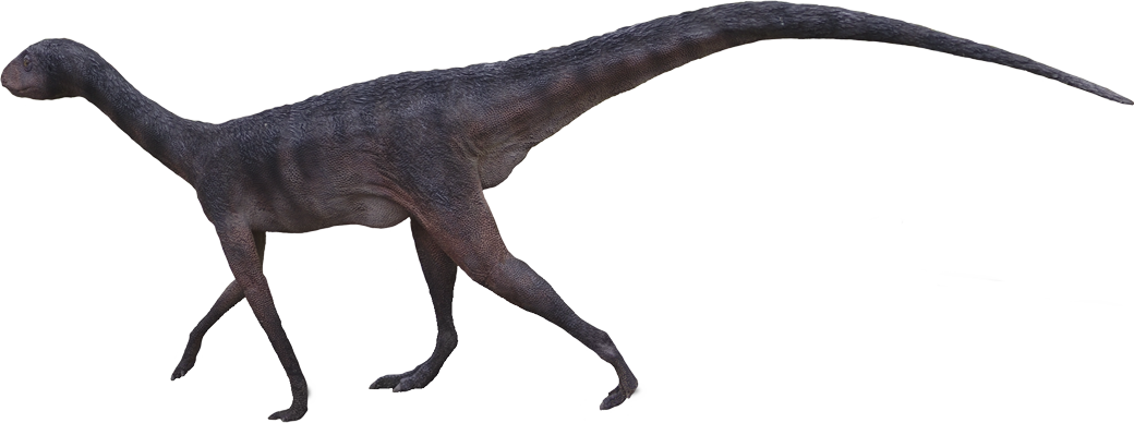 Trackmaker Of The Atreipus Footprint - Dinosaurs Png Moab Giants (1040x388), Png Download