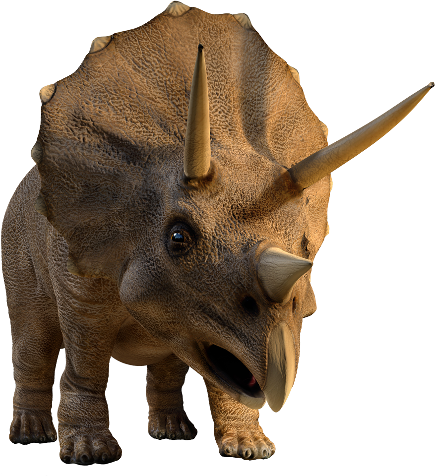 Facts About Triceratops (1000x1023), Png Download