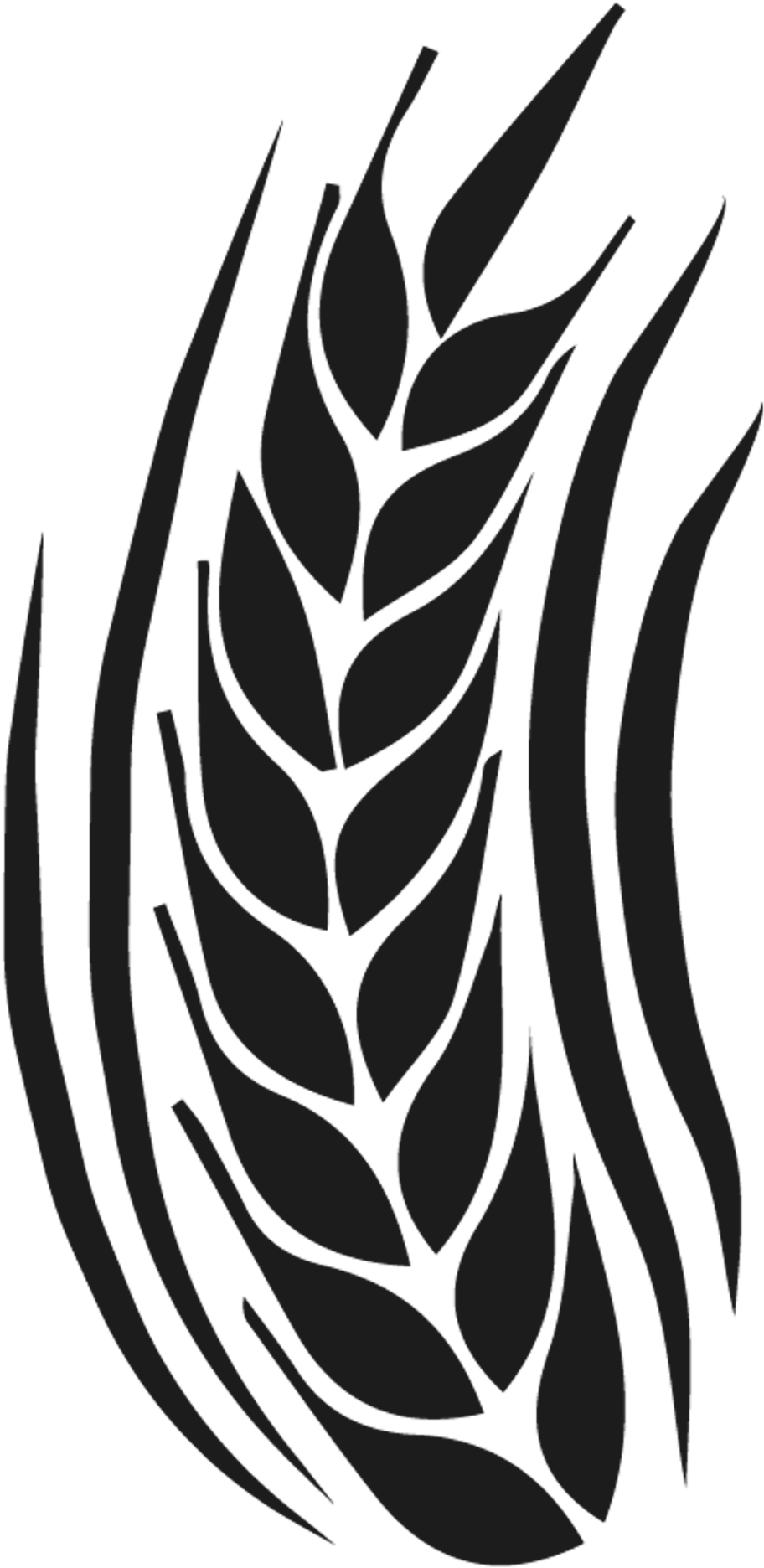Jeffh (1000x1990), Png Download