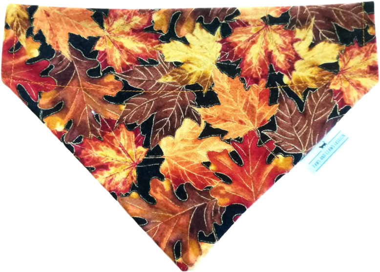 Paws And Claws Bandana Autumn Leaves - Board Short (900x675), Png Download