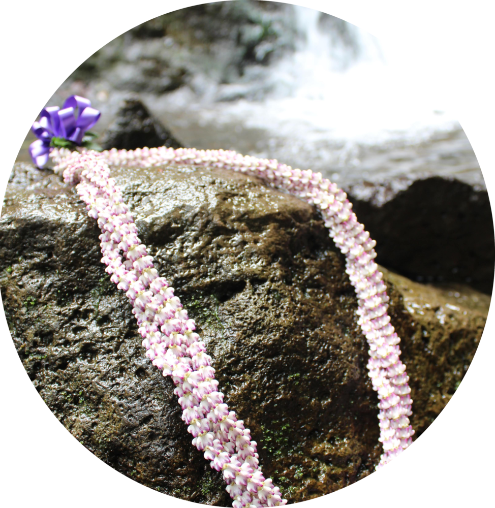 Bead (974x1000), Png Download