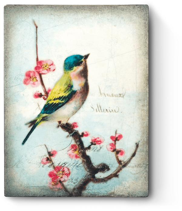 Hübscher Vintager Vogel Keramikfliese (720x720), Png Download
