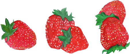 Kristen 15 Years Old Oatmeal Lover - Strawberry Png (500x389), Png Download