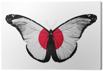 Japanese Flag Butterfly, Isolated On White Background - South Korea Flag Butterfly, Isolated On Mug (400x400), Png Download