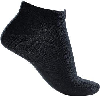 Sci Hp318 Ankle Sock - Thorlo Inc. (520x500), Png Download