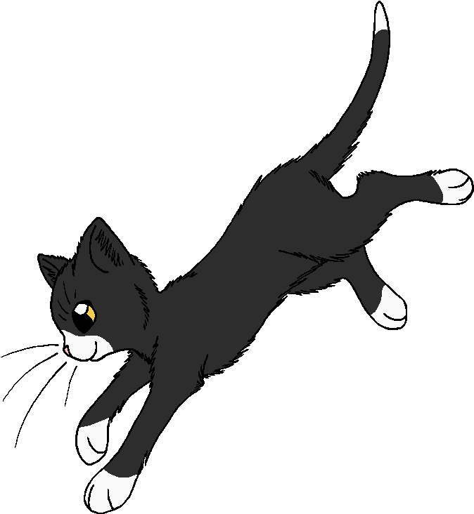 Socks - Warrior Cats Sparrowfeather (729x781), Png Download