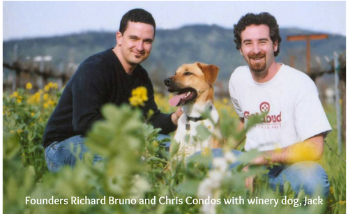 Chris Condos And Richard Bruno Began Vinum After Becoming - Vinum Cellars Inc (650x306), Png Download