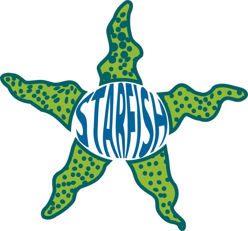 Starfish Marine Invertebrates Drawing Echinoderm Sea - Starfish (804x750), Png Download