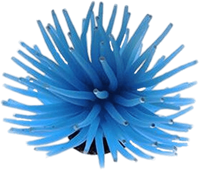 Blue Sea Anemone - Genenic 6 Piece Silicone Aquarium Artificial Sea Anemone (500x500), Png Download