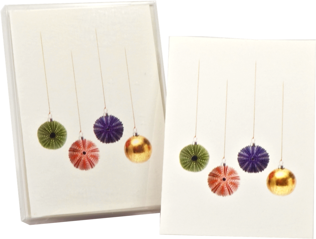 Shopping Cart -  -  - Common Zinnia (1200x1200), Png Download