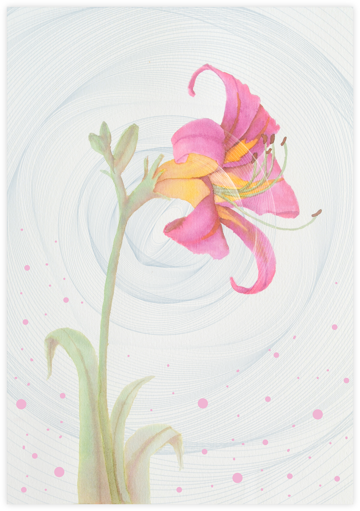 Since She Doesn't Have Any Favourites, I Painted Some - Lily (1200x1696), Png Download