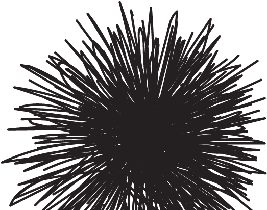 Blog ` - Blog (716x433), Png Download