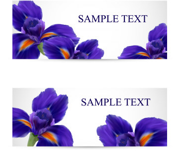 Postcards With Realistic Iris Flowers, Iris, Flower, - Flower (360x360), Png Download