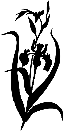 Mb Image/png - Iris Flower Iris Clipart Black And White (250x500), Png Download