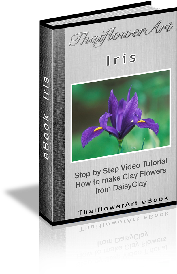 Iris Flowers (699x1000), Png Download