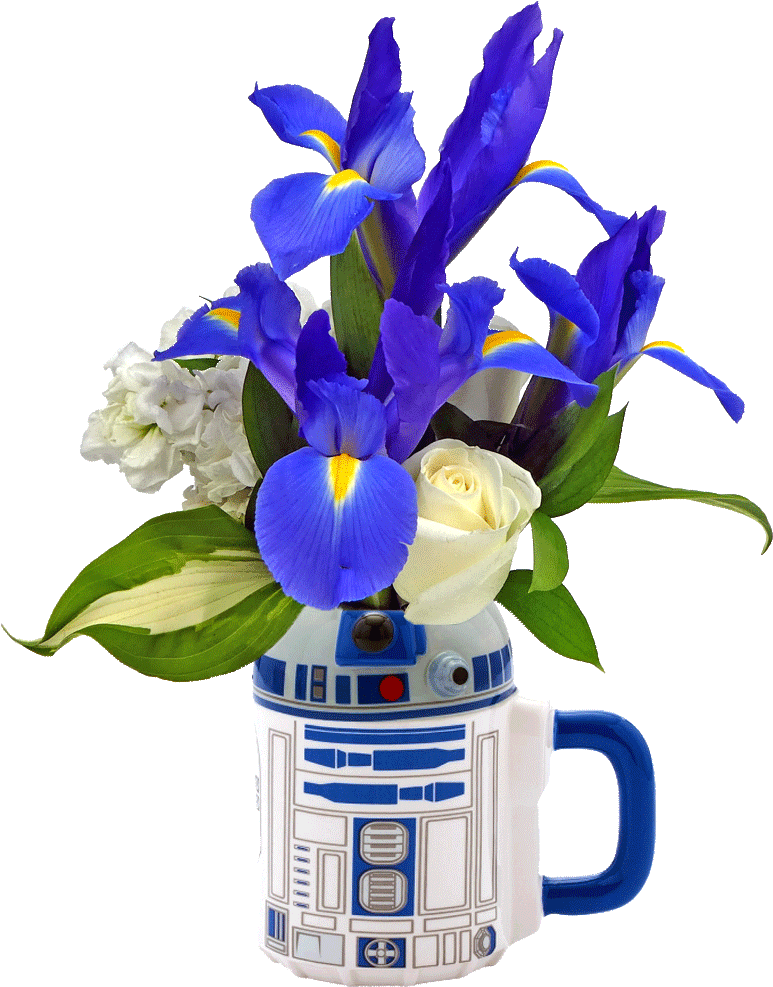 R2d2 Flower Mug - Star Wars R2-d2 20 Oz. Ceramic Sculpted Mug, White (1024x1024), Png Download