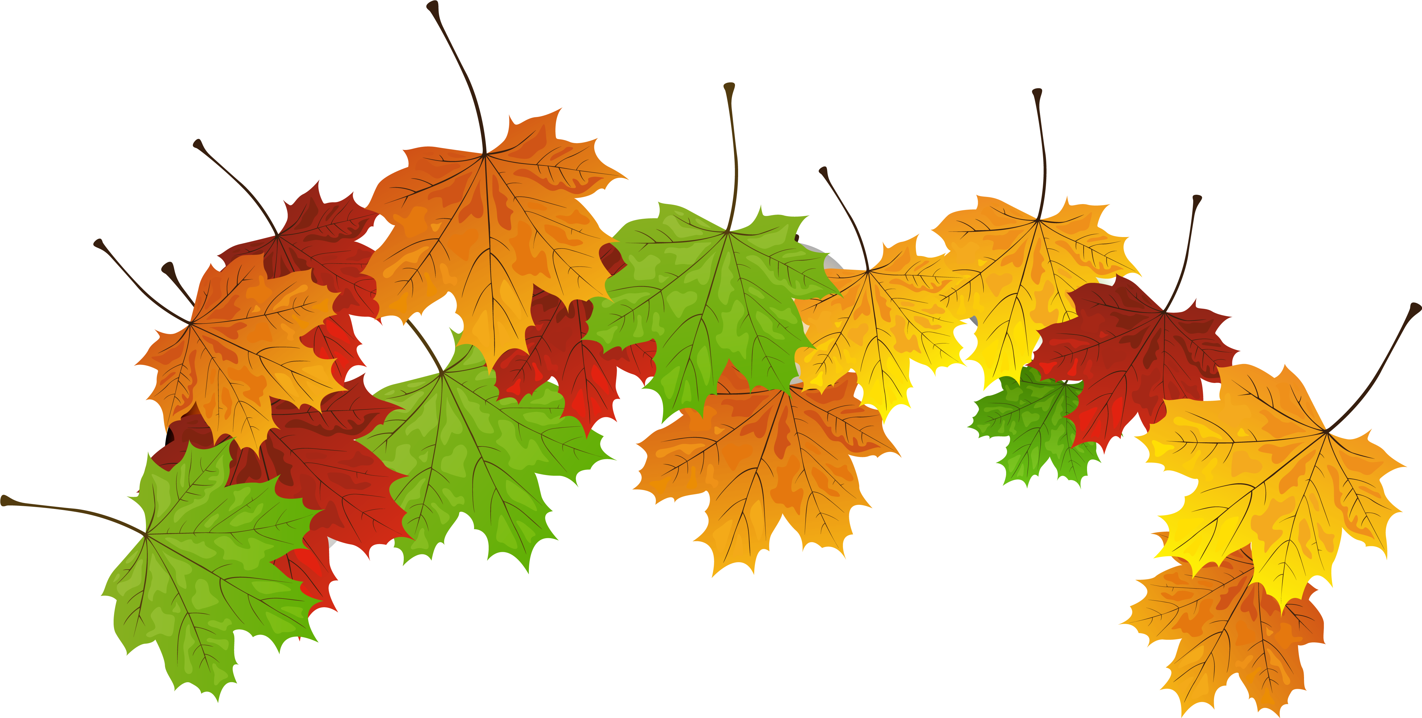 Fall Leaves Png Clipart Image - Fall Leaves Clipart (4725x2387), Png Download