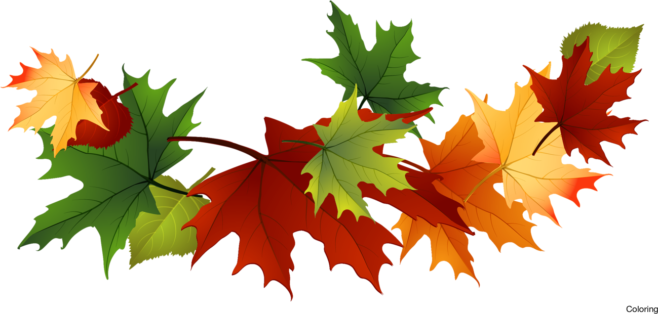 Majestic Autumn Clipart Fall Leaves Clip Art - Fall Leaves Transparent Background (1328x672), Png Download
