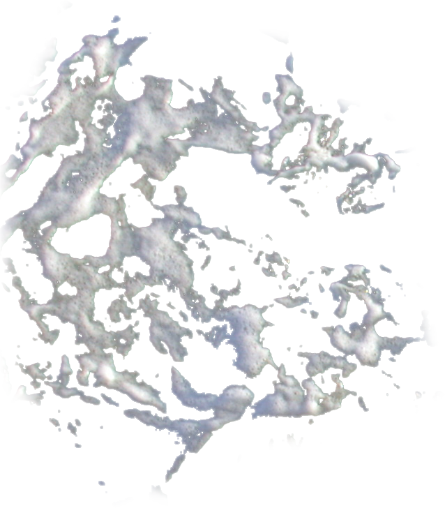 Realfoam1 Dgw B 06 Feb 2009 - Sea Foam Png (638x728), Png Download