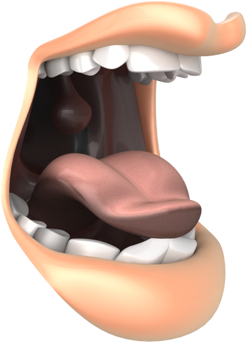 Week - Chair (555x742), Png Download