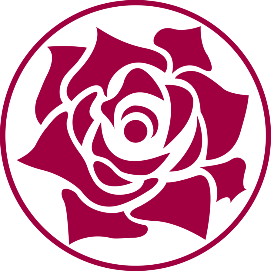 Vector Roses - Rose Vector Png (894x894), Png Download