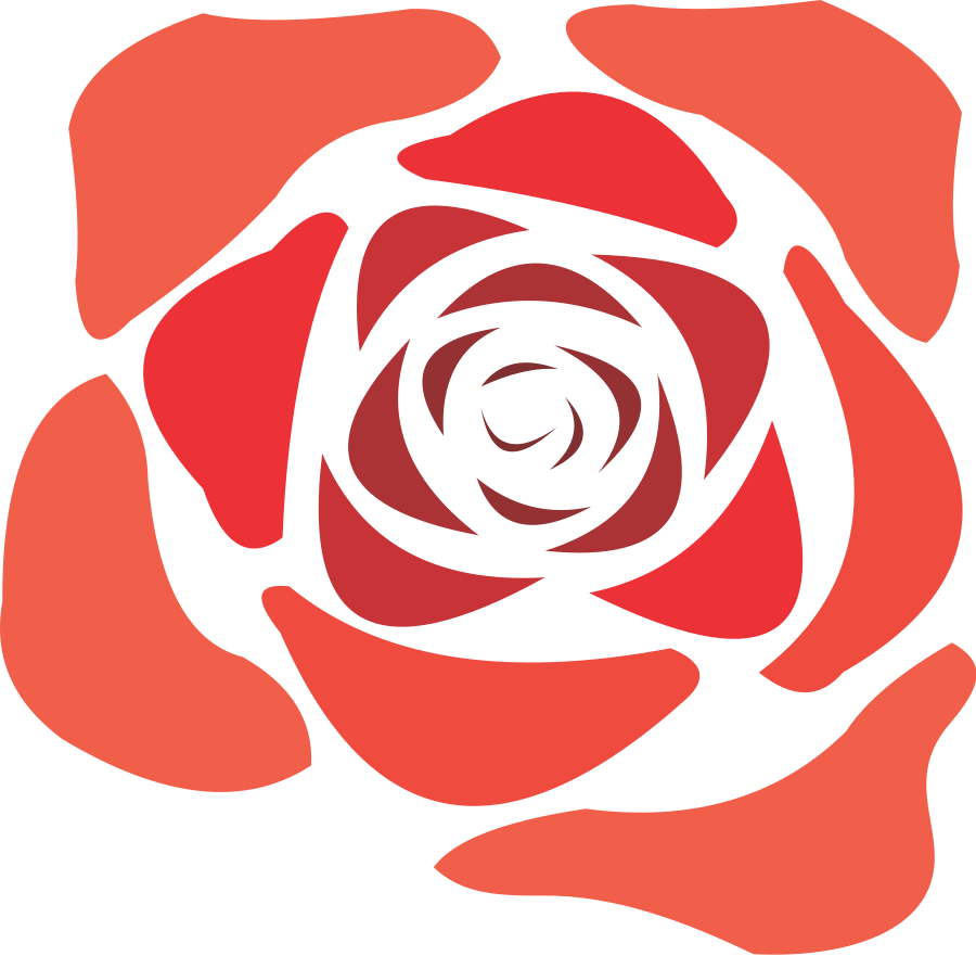 Rose 2 (900x881), Png Download