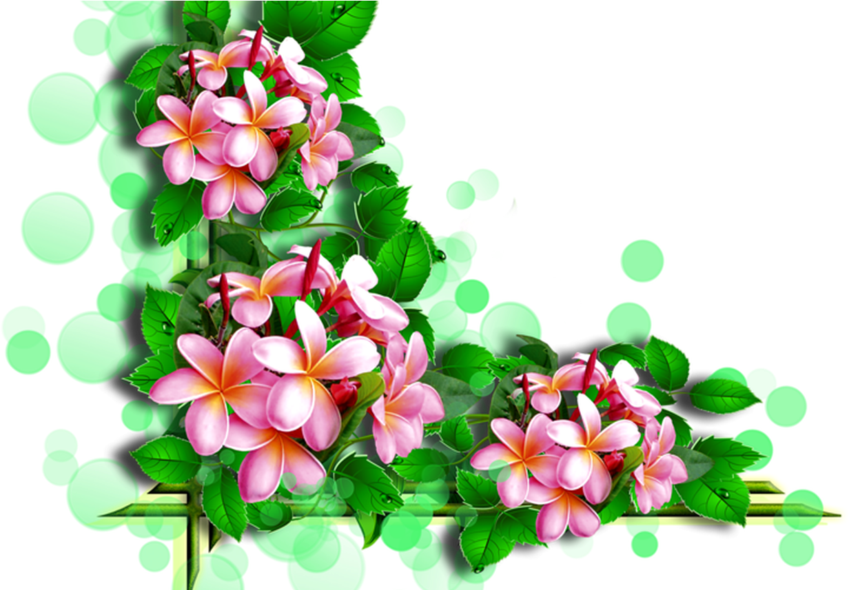 Flower Corners By Ella 5png Rc Lens And Album - Картинки (1368x855), Png Download