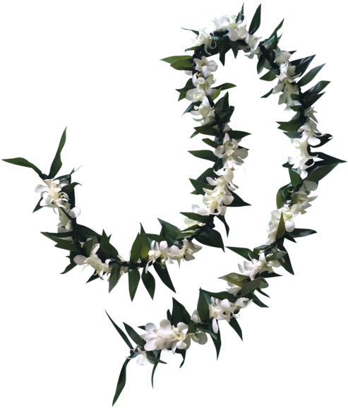 Kainani White Wedding Package - Origami (600x600), Png Download
