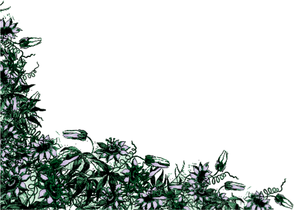 Corner Sticker - Larch (1024x1024), Png Download