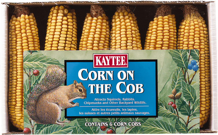 Corn On The Cob, 6 Pack - Corn Kernels (750x750), Png Download