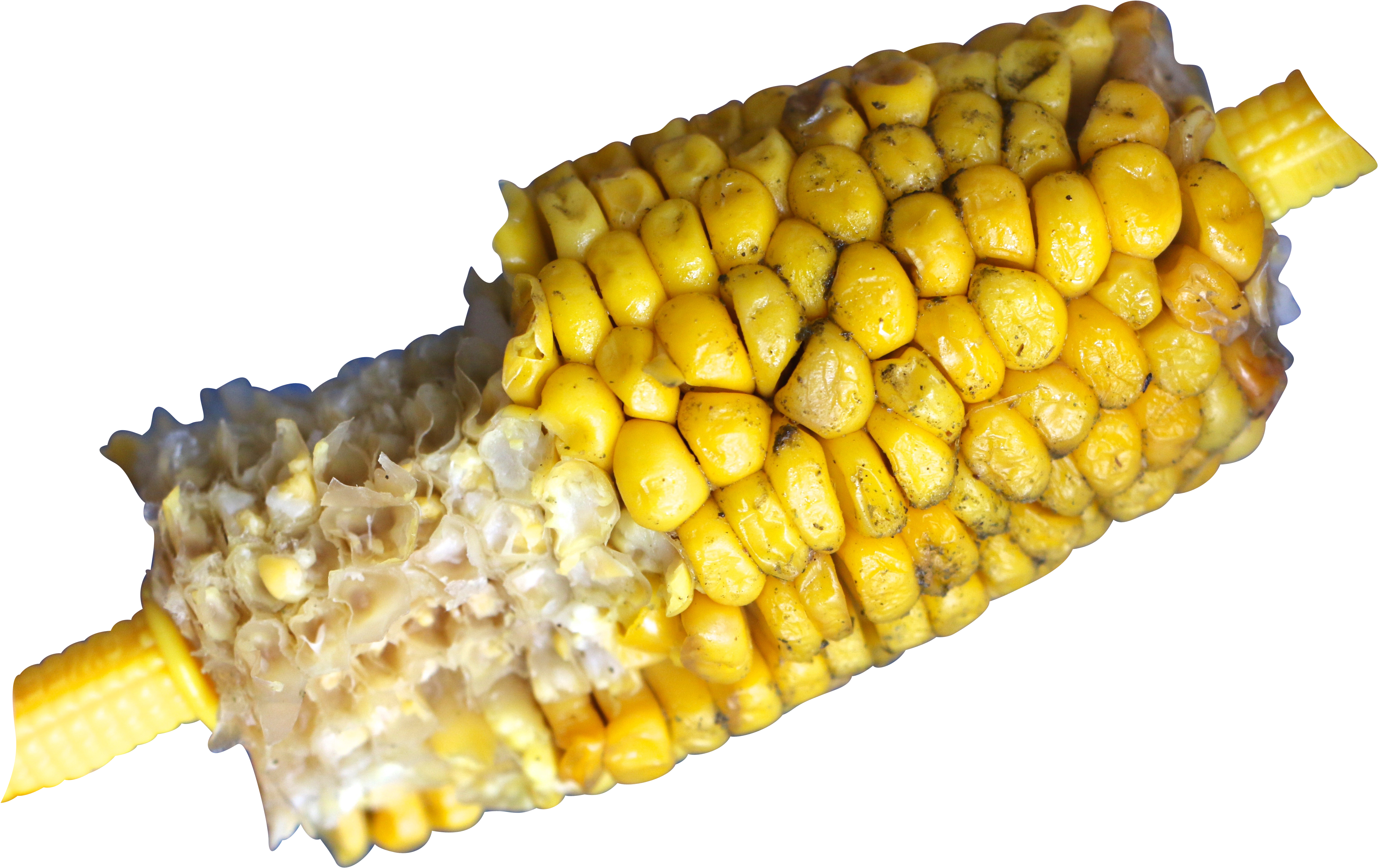 Corn On The Cob 717640 Clip - Corn On The Cob (5472x3648), Png Download